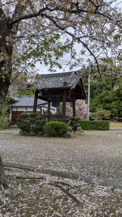 圓藏院(円蔵院)(京都府)
