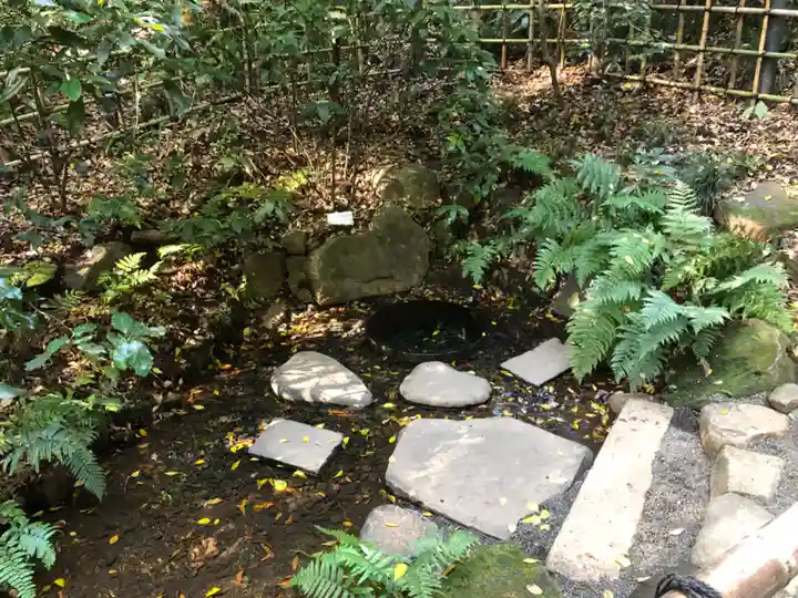 明治神宮(東京都)