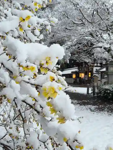 沙沙貴神社(滋賀県)