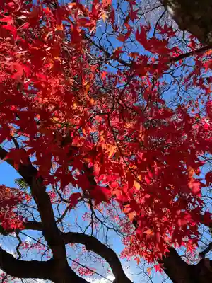 興福寺 五重塔(奈良県)