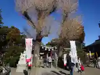 亀ケ池八幡宮のその他建物