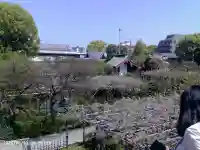 亀戸天神社の{uncategorized: "未分類", other: "その他", undefined: "問題あり", building: "その他建物", grave: "お墓", sacred_gate: "鳥居", guardian: "狛犬", statue: "像", buddha: "仏像", history: "歴史", nature: "自然", garden: "庭園", animal: "動物", pagoda: "塔", temizu: "手水舎", mountain_gate: "山門・神門", sanctuary: "本殿・本堂", subordinate: "末社・摂社", art: "芸術", scenery: "景色", jizo: "地蔵", ema: "絵馬", goshuin: "御朱印", omikuji: "おみくじ", items: "授与品その他", amulet: "お守り", goshuincho: "御朱印帳", eats: "食事", festival: "お祭り", votive_dance: "神楽", shichigosan: "七五三参", wedding: "結婚式", experience: "体験その他", initially: "初詣", around: "周辺", anti_infection: "感染症対策"}