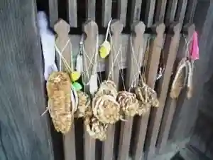 法話と天井絵の寺 観音寺(徳島県)(2023年05月17日(水) 07時41分42秒投稿)