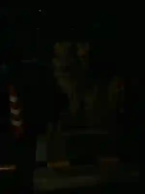 溝旗神社（肇國神社）の狛犬