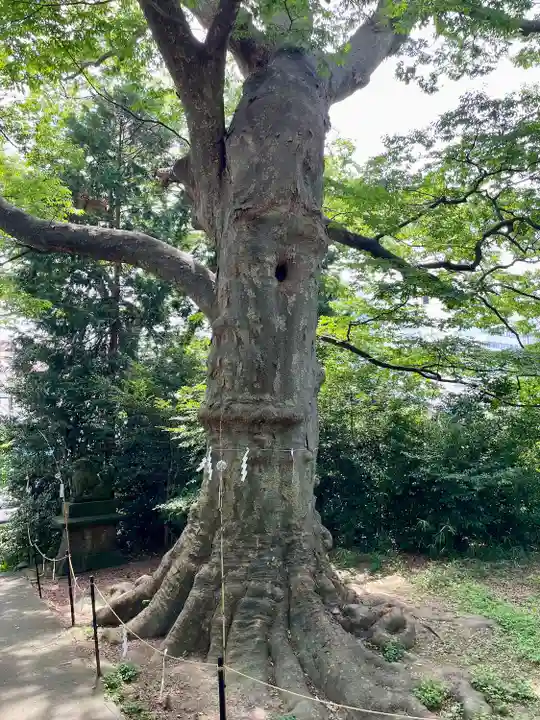 愛宕神社(福島県)