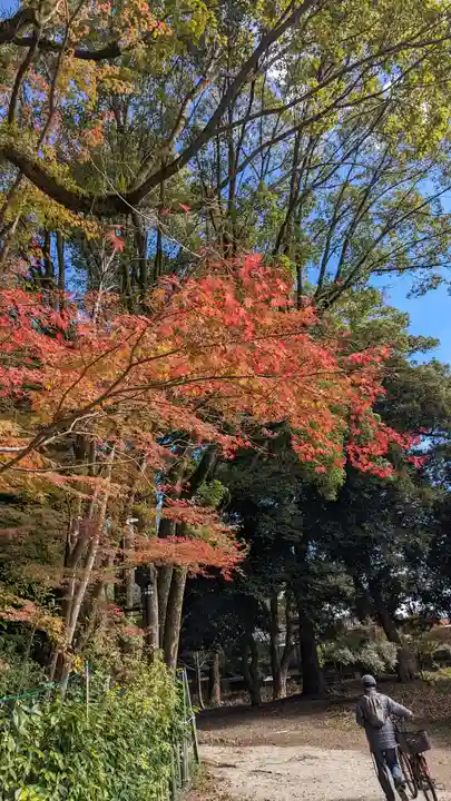 賀茂別雷神社(上賀茂神社)(京都府)