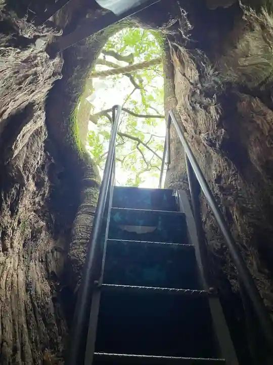 熊野那智大社(和歌山県)