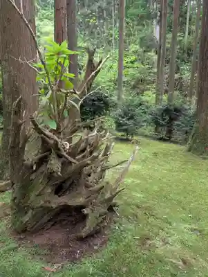 御岩神社(茨城県)
