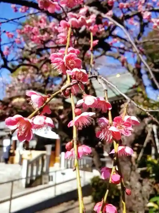 布多天神社(東京都)