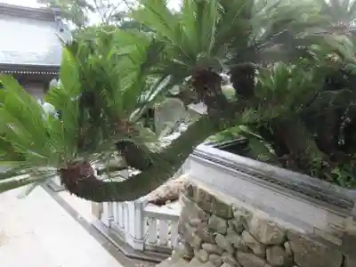 金剛福寺(高知県)