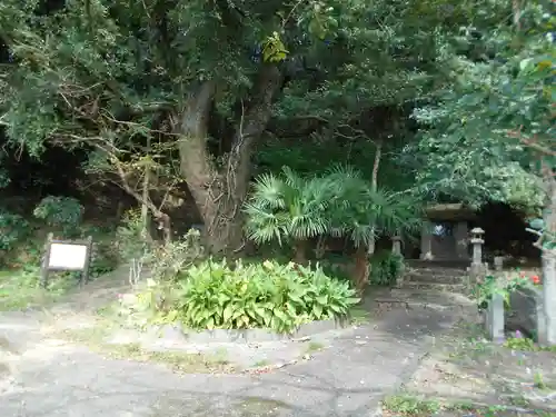 東神社の自然