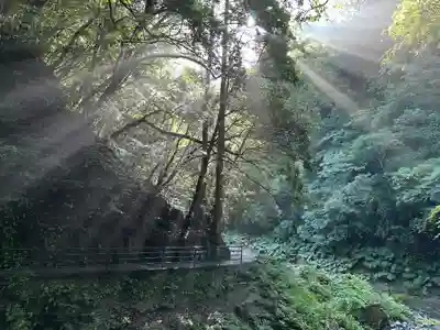 天安河原宮(宮崎県)