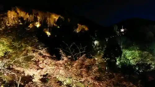 清水寺の{uncategorized: "未分類", other: "その他", undefined: "問題あり", building: "その他建物", grave: "お墓", sacred_gate: "鳥居", guardian: "狛犬", statue: "像", buddha: "仏像", history: "歴史", nature: "自然", garden: "庭園", animal: "動物", pagoda: "塔", temizu: "手水舎", mountain_gate: "山門・神門", sanctuary: "本殿・本堂", subordinate: "末社・摂社", art: "芸術", scenery: "景色", jizo: "地蔵", ema: "絵馬", goshuin: "御朱印", omikuji: "おみくじ", items: "授与品その他", amulet: "お守り", goshuincho: "御朱印帳", eats: "食事", festival: "お祭り", votive_dance: "神楽", shichigosan: "七五三参", wedding: "結婚式", experience: "体験その他", initially: "初詣", around: "周辺", anti_infection: "感染症対策"}