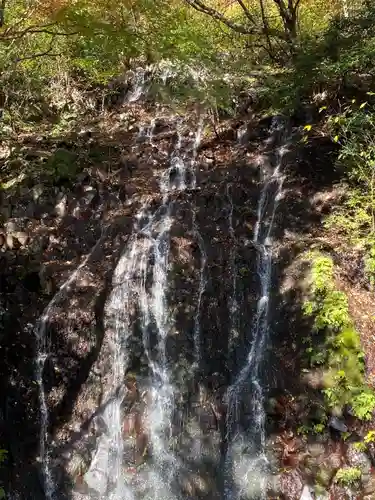 玉簾神社の自然