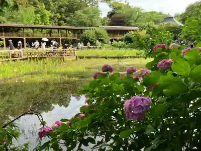 本土寺(千葉県)
