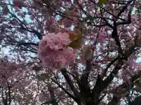 台渡里八幡神社の{uncategorized: "未分類", other: "その他", undefined: "問題あり", building: "その他建物", grave: "お墓", sacred_gate: "鳥居", guardian: "狛犬", statue: "像", buddha: "仏像", history: "歴史", nature: "自然", garden: "庭園", animal: "動物", pagoda: "塔", temizu: "手水舎", mountain_gate: "山門・神門", sanctuary: "本殿・本堂", subordinate: "末社・摂社", art: "芸術", scenery: "景色", jizo: "地蔵", ema: "絵馬", goshuin: "御朱印", omikuji: "おみくじ", items: "授与品その他", amulet: "お守り", goshuincho: "御朱印帳", eats: "食事", festival: "お祭り", votive_dance: "神楽", shichigosan: "七五三参", wedding: "結婚式", experience: "体験その他", initially: "初詣", around: "周辺", anti_infection: "感染症対策"}