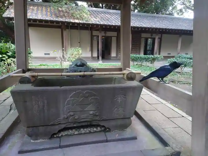 江島神社(神奈川県)