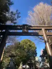 諏訪神社(東京都)