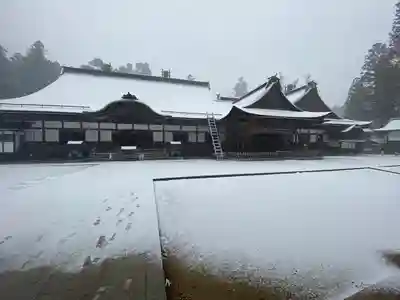 高野山真言宗総本山金剛峯寺(和歌山県)