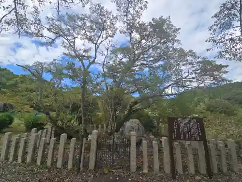 世尊寺(奈良県)