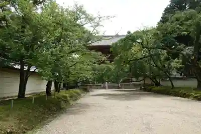 醍醐寺の山門・神門