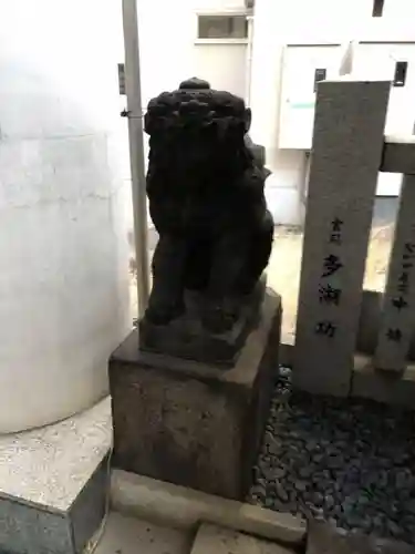築土神社の狛犬