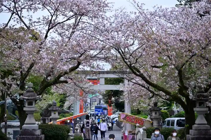 富士山本宮浅間大社の自然