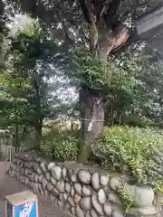 伊勢神社の自然