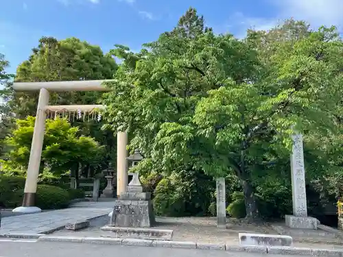 木嶋坐天照御魂神社(京都府)