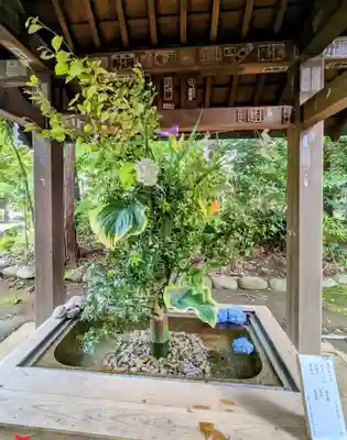 赤坂氷川神社(東京都)