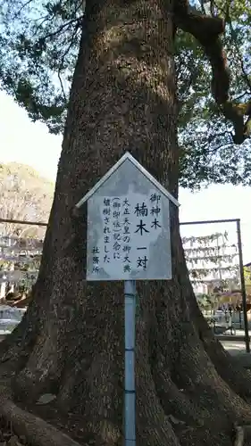 五社神社の自然