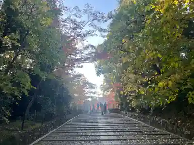 光明寺（粟生光明寺）(京都府)