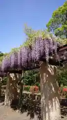 玉敷神社の庭園