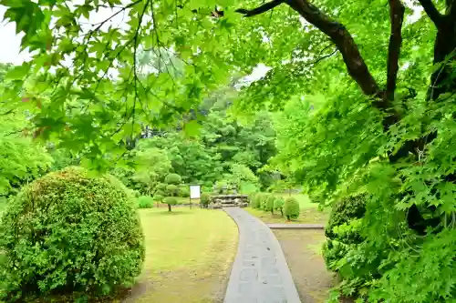妙高寺(新潟県)