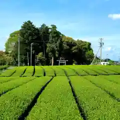 矢多神社(静岡県)