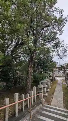 大藤神社(京都府)