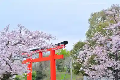 富士山本宮浅間大社(静岡県)