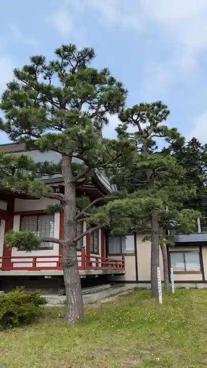 北海道東照宮の自然