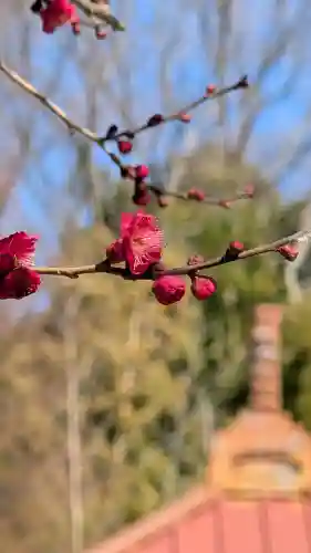 古淵大日堂の{uncategorized: "未分類", other: "その他", undefined: "問題あり", building: "その他建物", grave: "お墓", sacred_gate: "鳥居", guardian: "狛犬", statue: "像", buddha: "仏像", history: "歴史", nature: "自然", garden: "庭園", animal: "動物", pagoda: "塔", temizu: "手水舎", mountain_gate: "山門・神門", sanctuary: "本殿・本堂", subordinate: "末社・摂社", art: "芸術", scenery: "景色", jizo: "地蔵", ema: "絵馬", goshuin: "御朱印", omikuji: "おみくじ", items: "授与品その他", amulet: "お守り", goshuincho: "御朱印帳", eats: "食事", festival: "お祭り", votive_dance: "神楽", shichigosan: "七五三参", wedding: "結婚式", experience: "体験その他", initially: "初詣", around: "周辺", anti_infection: "感染症対策"}