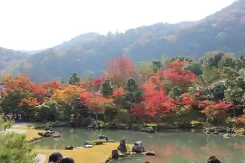 天龍寺の庭園