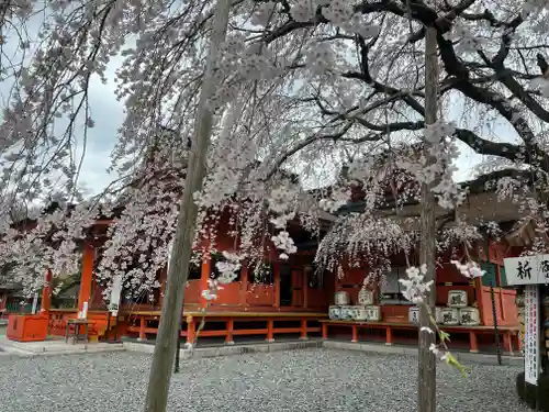 富士山本宮浅間大社の自然