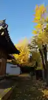 大瀬氷川神社のその他建物