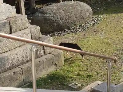 美保神社(島根県)
