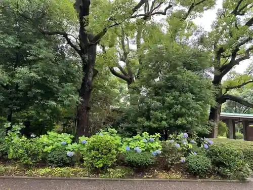 千鳥ヶ淵戦没者墓苑(東京都)