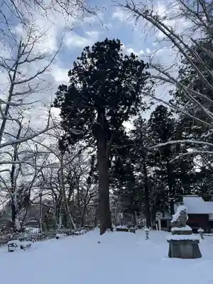 金ケ崎神社(岩手県)