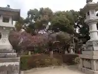 太宰府天満宮の自然