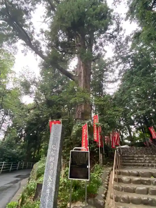 塩船観音寺の自然