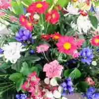 彌彦神社 (伊夜日子神社)の手水舎