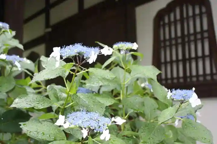 真正極楽寺(真如堂)(京都府)