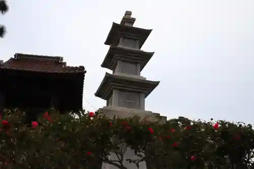 福知寺の塔